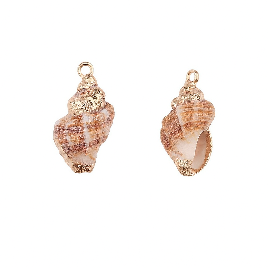 Charm Concha Naturall Extraída del Mar – Para Personalizar Collares Estilo Playero