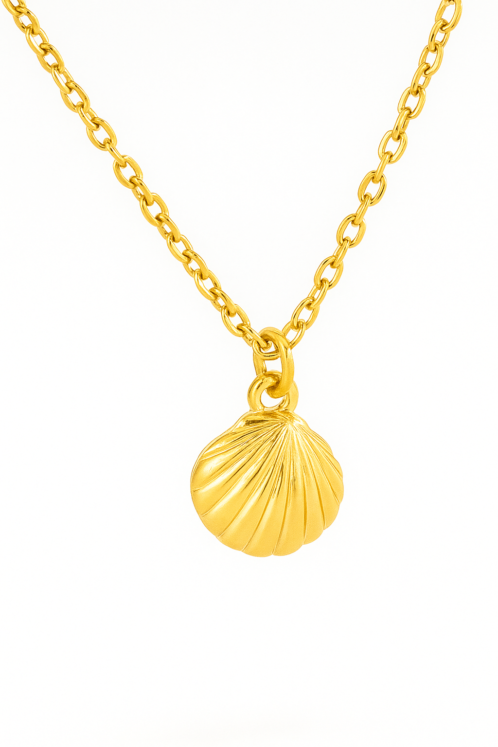 Charm Concha Dorada – Espíritu del Mar en Acero de Titanio