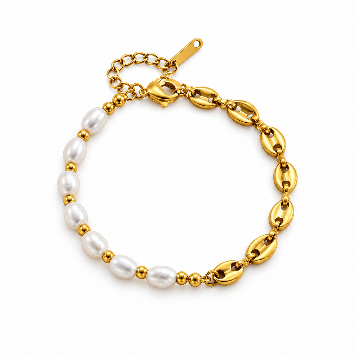 Brazalete Shell in the Parrot de Acero Inoxidable 316L