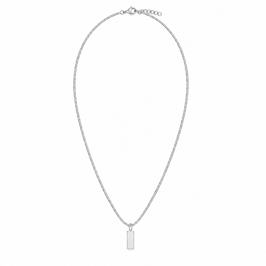 Collar Darío plateada de Acero Inoxidable 316L