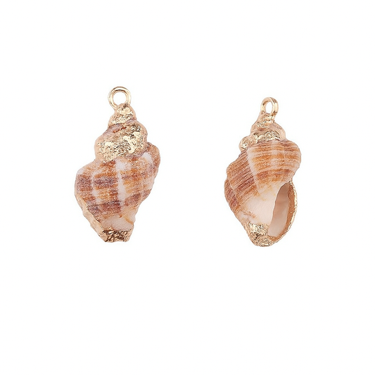 Charm Concha Naturall Extraída del Mar – Para Personalizar Collares Estilo Playero