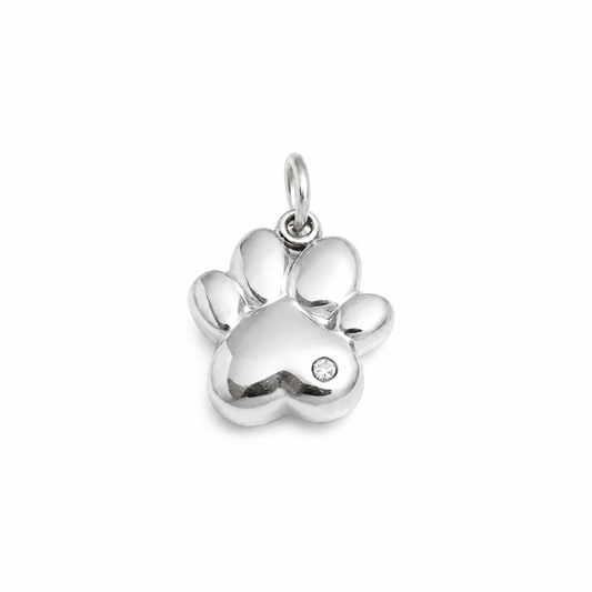 Charm Huella Plateada Acero Inoxidable 316L