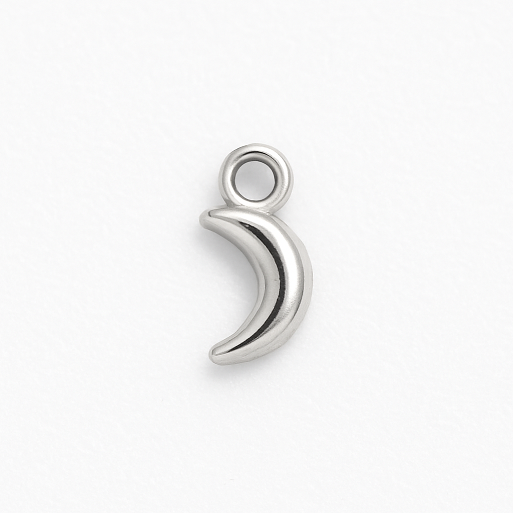 Charms Mini Marinos – Diseño en Acero Inoxidable Plateado Inspirado en la Naturaleza del Océano