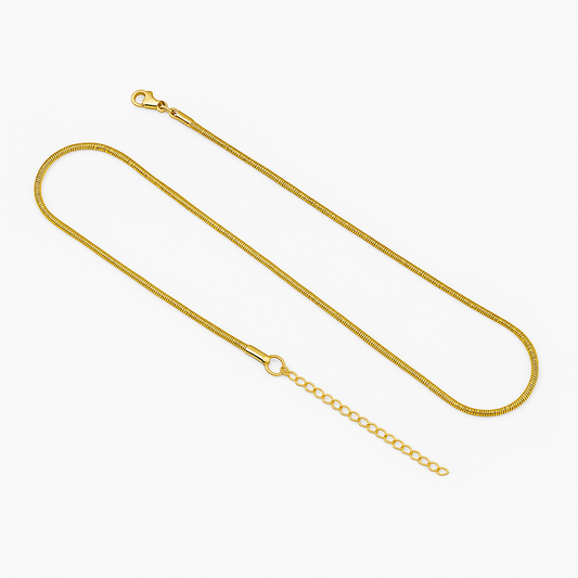 Cadena Renata – Dorada o Plateada, 40 cm + 5 cm Ajustable en Acero de Titanio