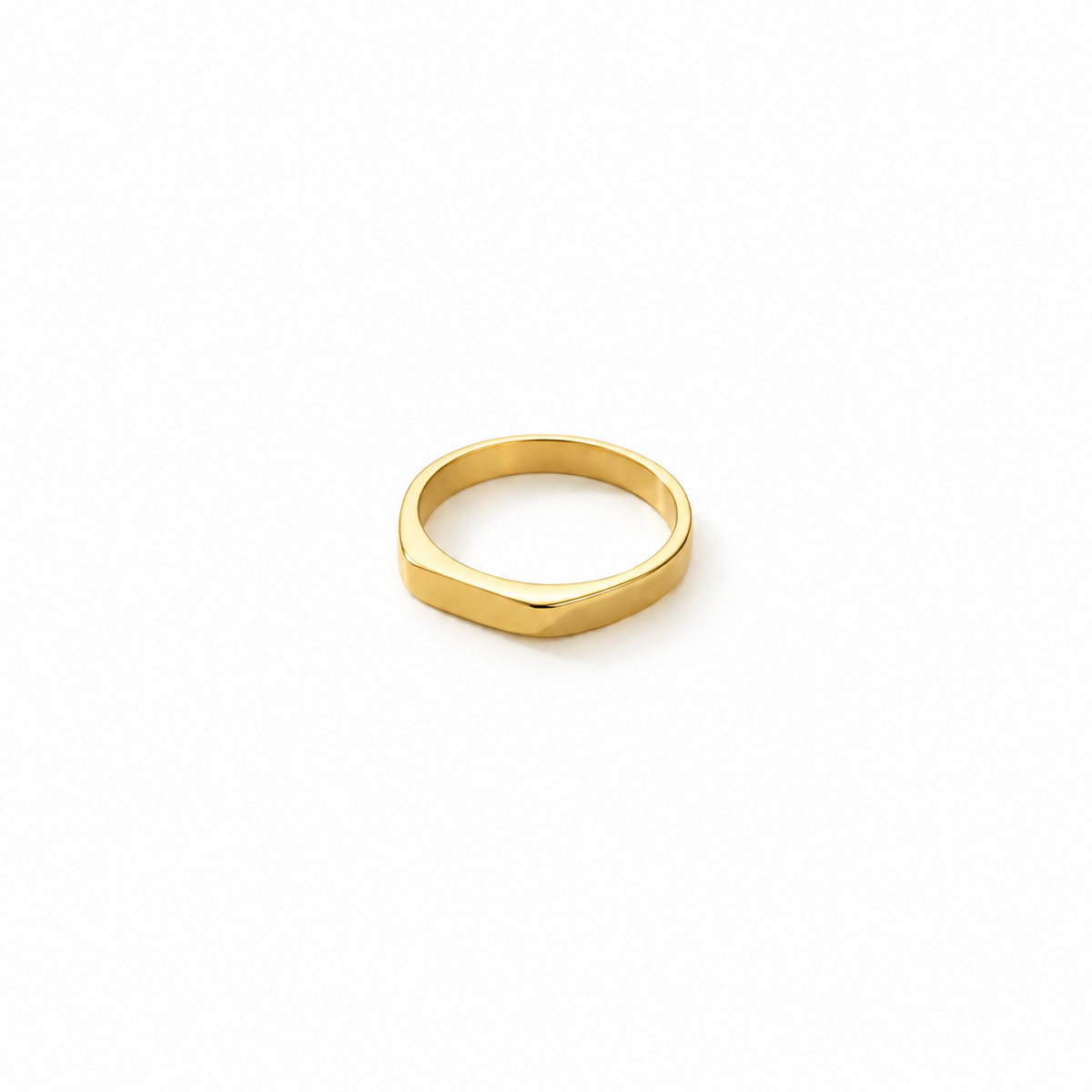 Anillo Elena de Acero Inoxidable 316L