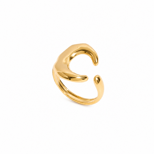 Anillo Luna de Acero Inoxidable 316L