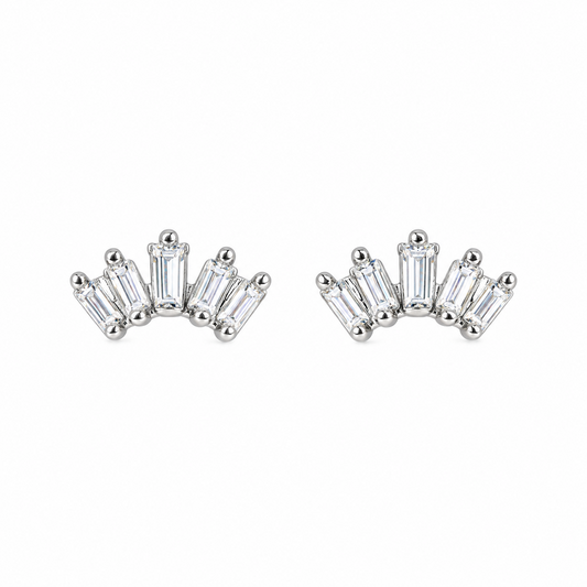 Aretes Nicho de Acero Inoxidable 316L