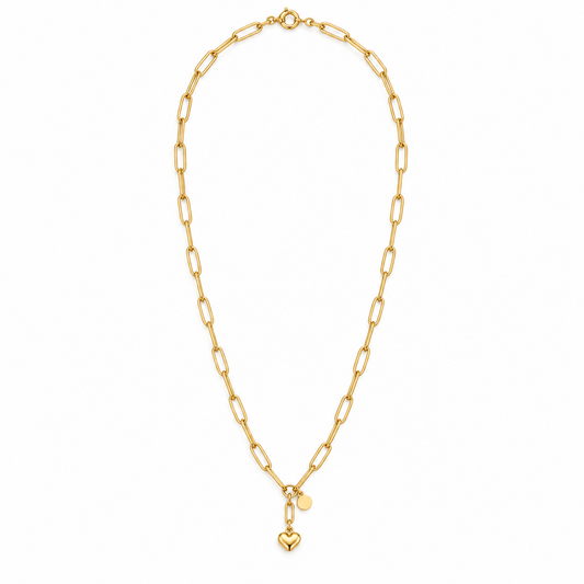 Collar Corazonada de Acero Inoxidable 316L