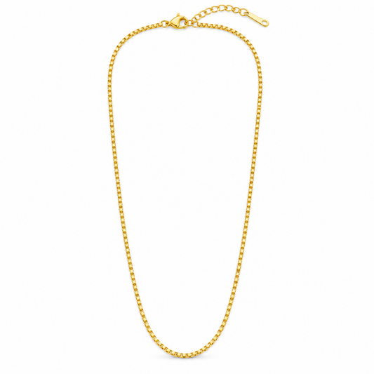 Cadena Minimalista Dorada 40 + 5cm Acero 316L
